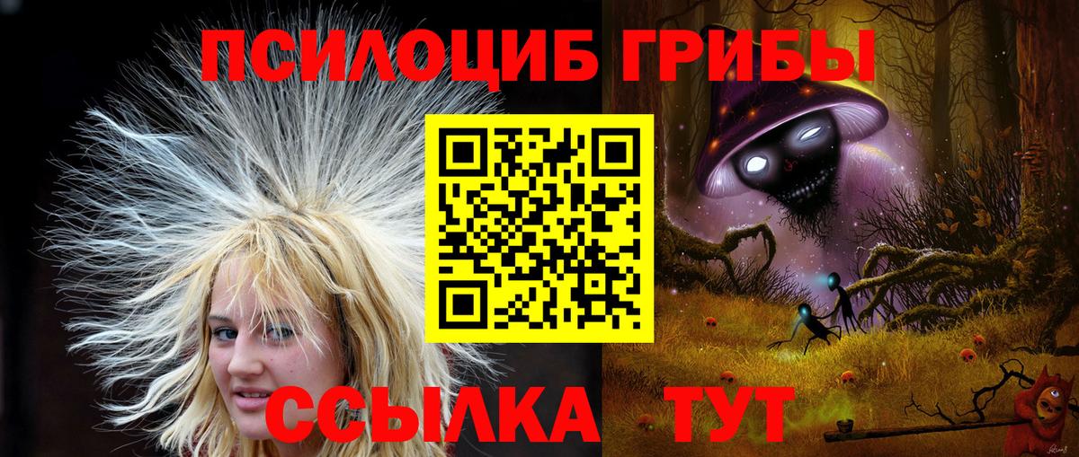 Галлюциногенные грибы прущие грибы Октябрьский