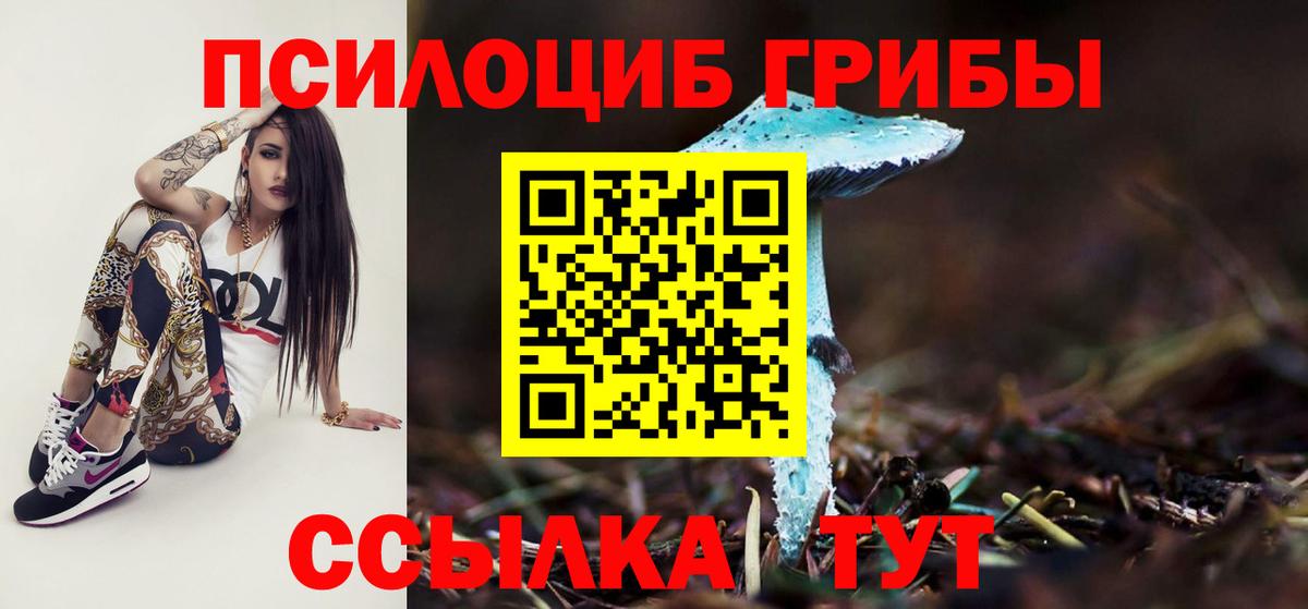 Псилоцибиновые грибы прущие грибы  Вход с VPN  Октябрьский 